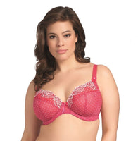 Soft Cup Plunge Underwire Bra